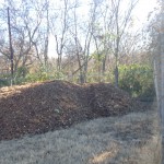 Grayson County Commissioners have donated mulch to the Community Garden….Now we need to spread it and build the beds- Furnished by LOWE'S!
